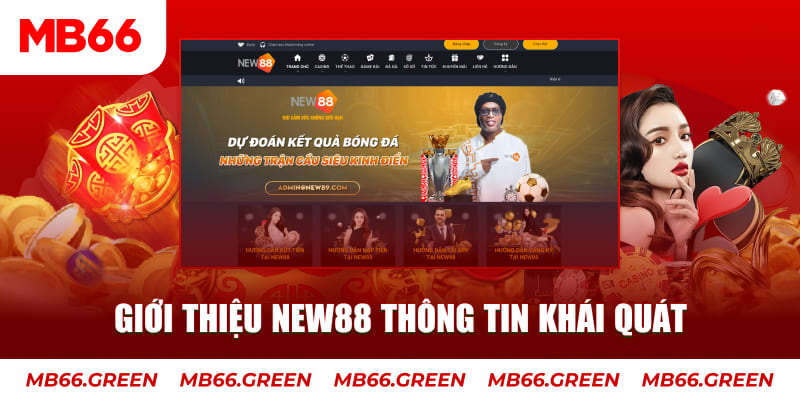 c1 gà chọi