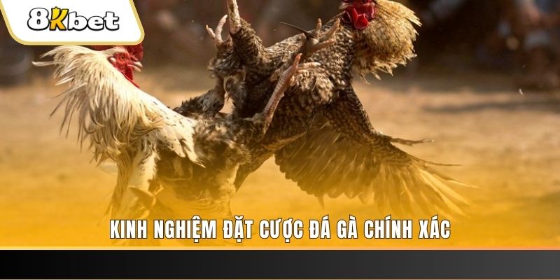 sun win xổ số thứ bảy hàng tuần