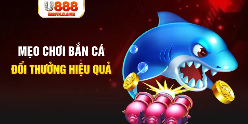 sun win gà chọi cam ranh
