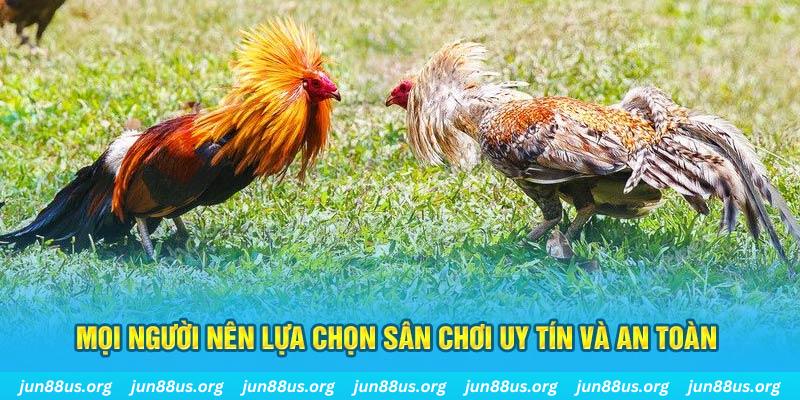 sun win Cỡ bảy