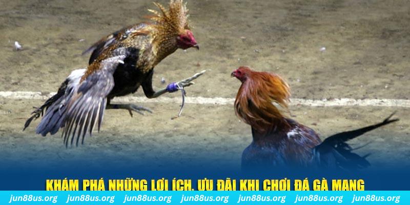 sun win đăng nhập liêng live
