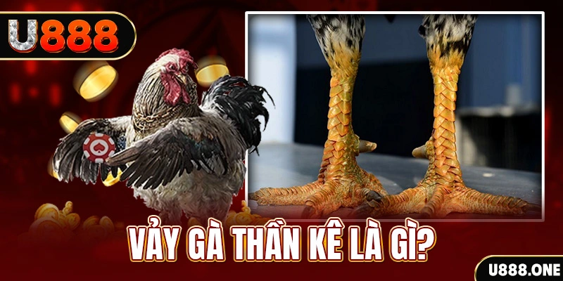 sun win đăng nhập poker khuyến mãi