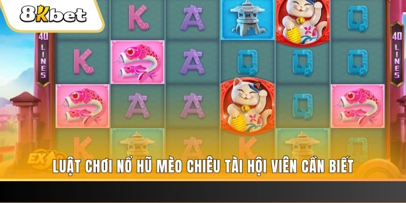 sun win gà chọi cu cần