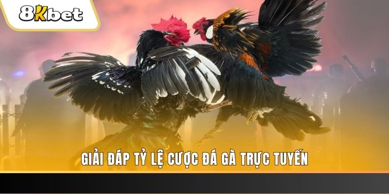 sun win ban ca online