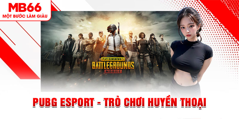 sun win casino online là gì
