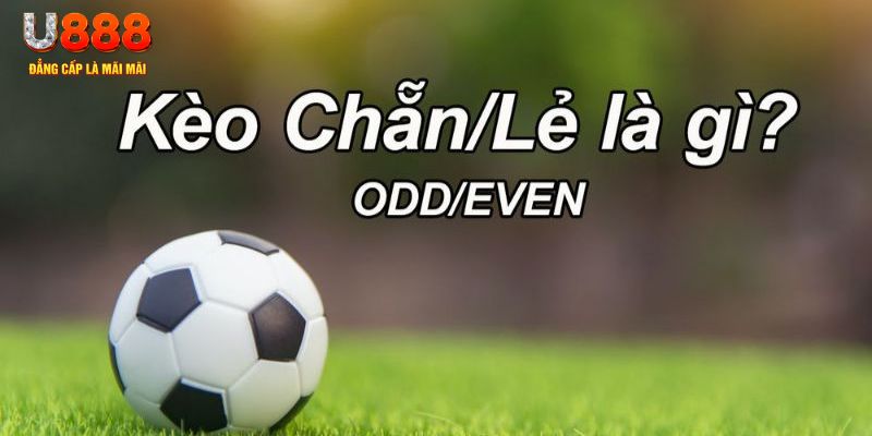 sun win đăng nhập sòng bạc 2024